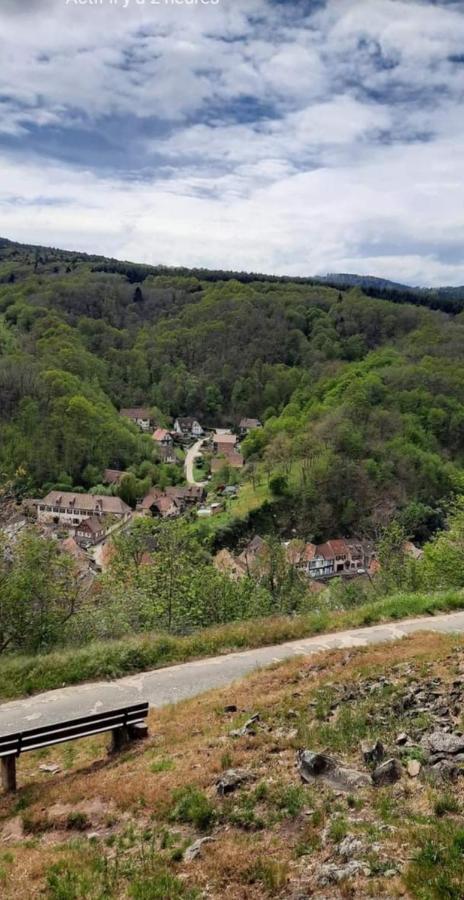 Gîte à Andlau Exterior foto